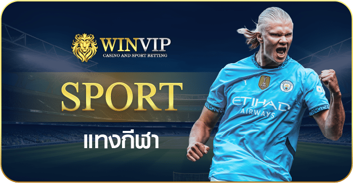 winvip888 sport