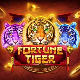 TPG fortunetiger