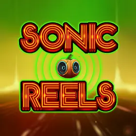 a screenshot of a video game sonicreels